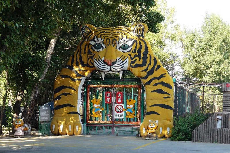 Парк Сибирских тигров